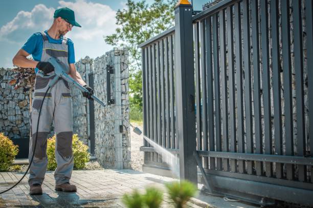 Best Animal Enclosure Cleaning  in Ridgewood, IL