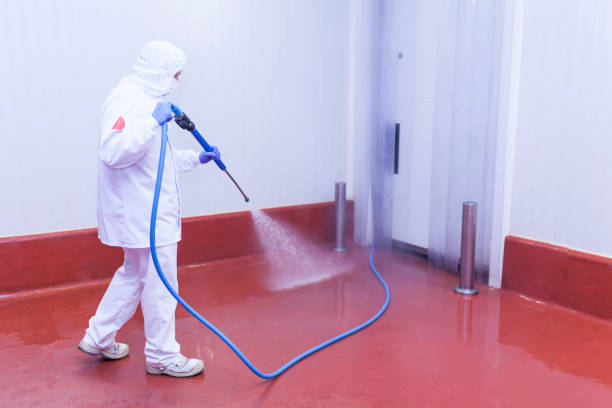 Boat and Dock Cleaning in Ridgewood, IL