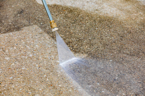 Best Pre-Holiday Cleaning  in Ridgewood, IL
