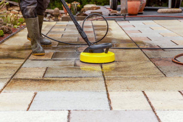 Best Spring Cleaning  in Ridgewood, IL
