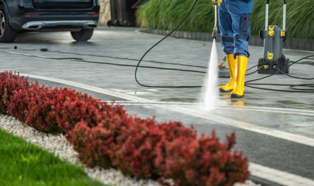 Solar Panel Cleaning in Ridgewood, IL